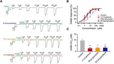 Activation of GABA type A receptor is involved in the anti-insomnia effect of Huanglian Wendan Decoction